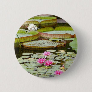 Wasser-Lilien-Auflage-Teiche Button