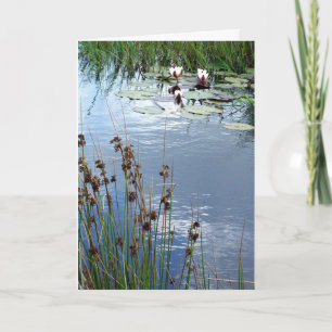 "Wasser-Lilien-" Beileids-Karte Karte