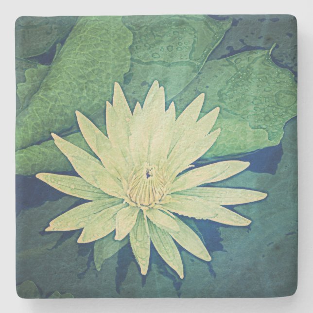 Wasser-Lilien-Blumen-Grün Steinuntersetzer (Vorderseite)