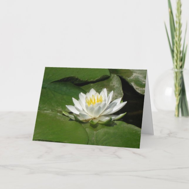 Wasser-Lilien-Fotografie Karte (Vorderseite)
