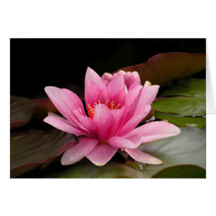Wasser-Lilien-Karte