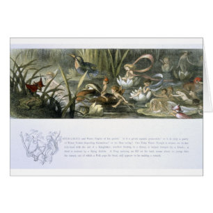 Wasser-Lilien und Wasser-Feen, Illustration von