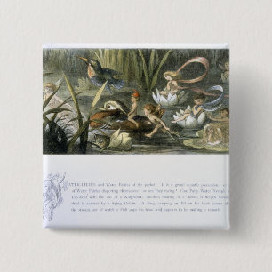Wasser-Lilien und Wasser-Feen, Illustration von Button