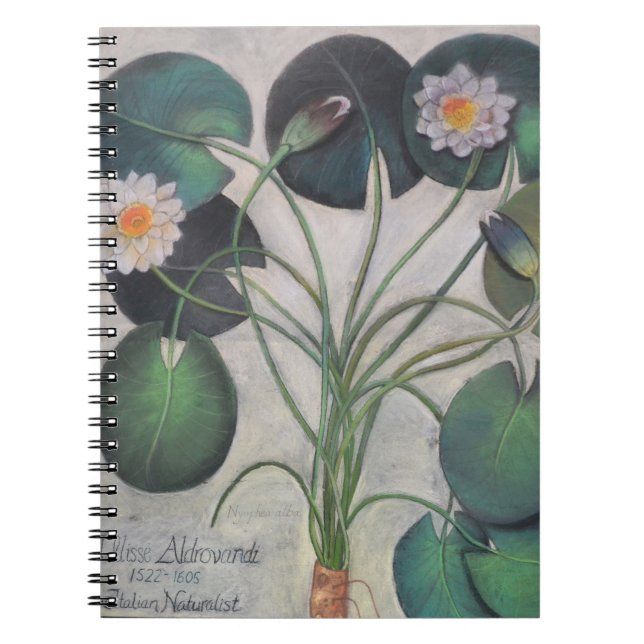 Wasser-Lilienen-Notizbuch Notizblock (Vorderseite)