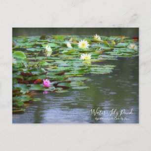 Wasser-Lily-Teich:Postkarte Postkarte