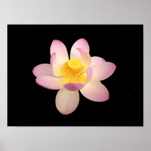 Wasser-Lippen-Poster Poster