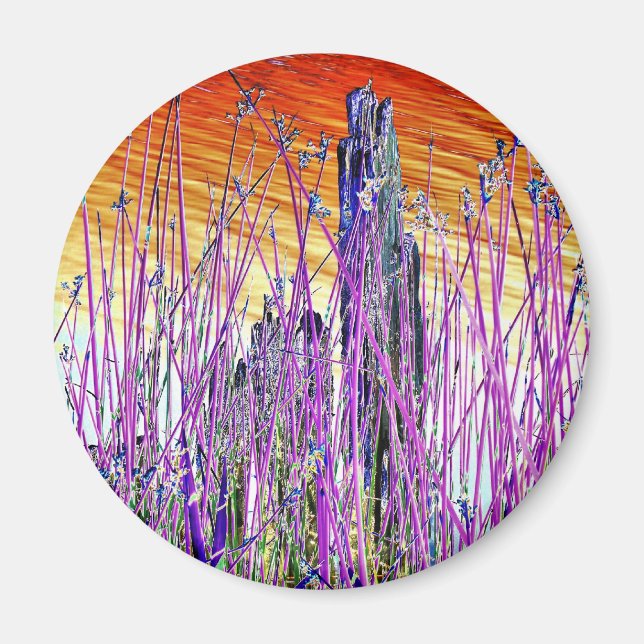 WASSER MAGNET (Vorne)