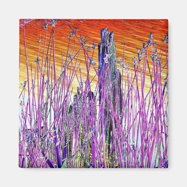 WASSER MAGNET (Vorne)