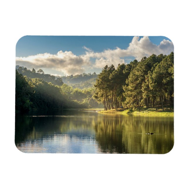 Wasser | Pang Oung Lake & Pine Forest Thailand Magnet (Horizontal)