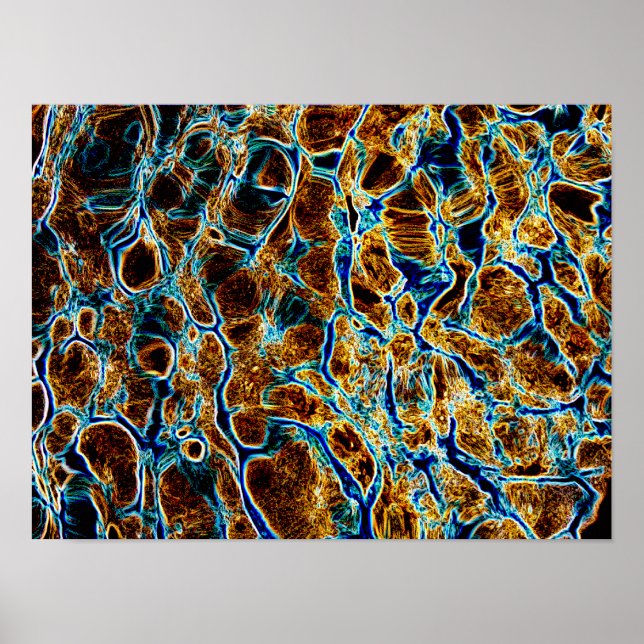 WASSER POSTER (Vorne)