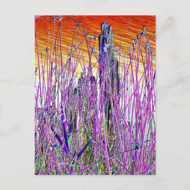 WASSER POSTKARTE (Vorderseite)