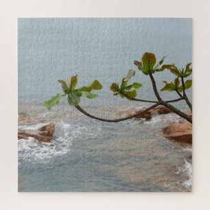 Wasser, Romantik, Landschaft, Pflanze, Wasserfall,
