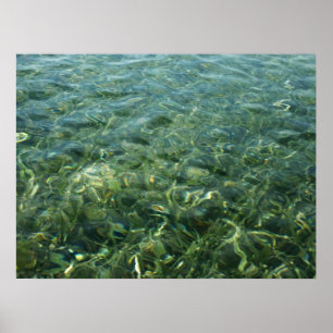 Wasser über Meeresgras I Karibik Poster