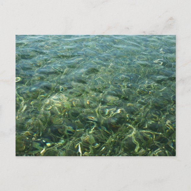 Wasser über Meeresgras I Karibik Postkarte (Vorderseite)
