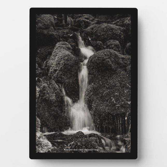 Wasser über Moos Fotoplatte (Vorderseite)