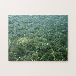 Wasser über Seegras I Karibische Natur