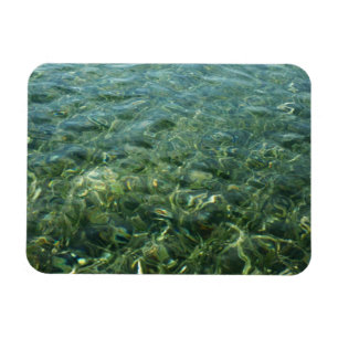 Wasser über Seegras I Karibische Natur Magnet