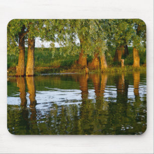Wasser und Bäume Mousepad