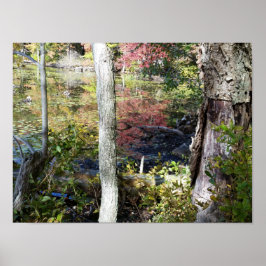 Wasser und Bäume Poster
