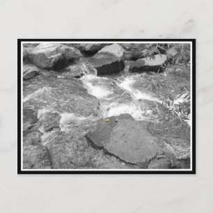 Wasser und Steine Postkarte