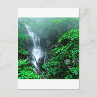 Wasser Untere Doyles River Falls Shenandoah Postkarte
