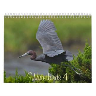 Wasser vögel 4 kalender