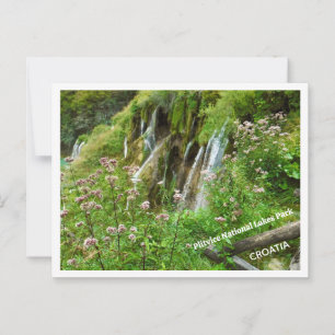 WASSER, WASSER ÜBERALL/PLITVICE LAKES NATIONAL PA POSTKARTE
