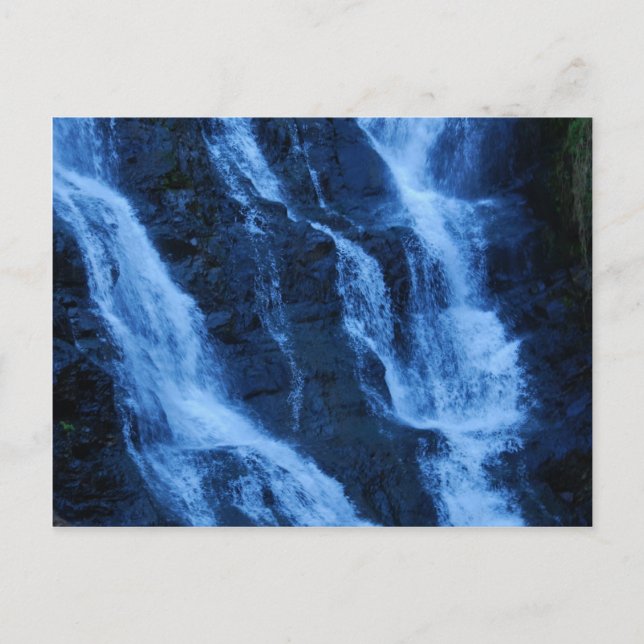Wasser Wertvoller als Gold Postkarte (Vorderseite)