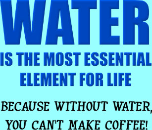 Download Gute sprueche fuers leben For Free