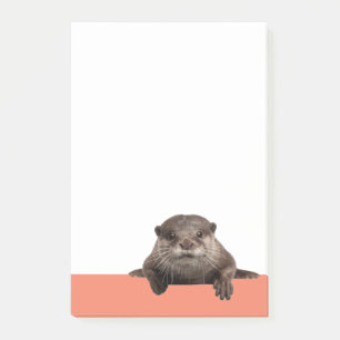 Wasserabfälle - Niedlicher Otter Post-it Klebezettel