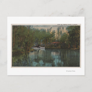 Wasseransicht Tomoka River & Marsh, Florida Postkarte