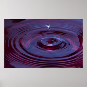 Wasserarme und Wassertropfen im Lila Teich Poster