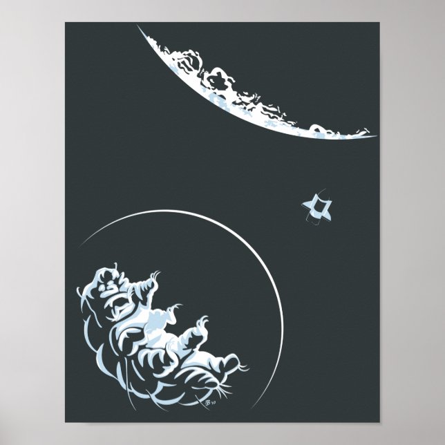 Wasserbär Poster (Vorne)