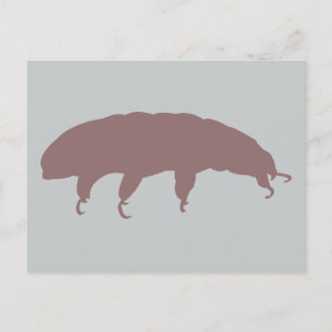 Wasserbär Tardigrade Silhouette Niedliche Kreatur Postkarte