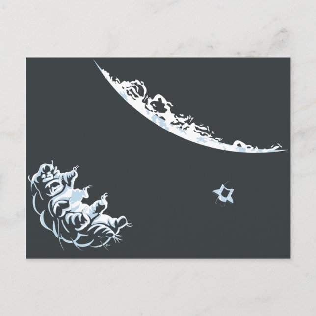 Wasserbärenkarte (horizontal) postkarte (Vorderseite)