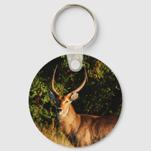 Wasserbuck - Safari-Tiere Schlüsselanhänger
