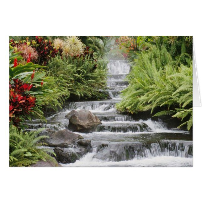 Wasserfall (Vorderseite (Horizontal))