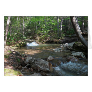 Wasserfall am Fluss Pemigewasset I