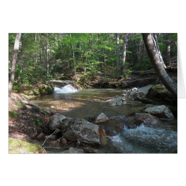 Wasserfall am Fluss Pemigewasset I (Vorderseite (Horizontal))