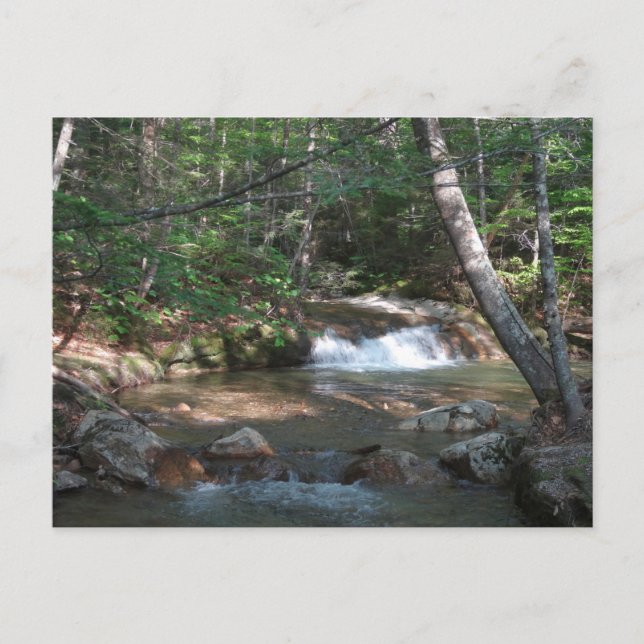 Wasserfall am Fluss Pemigewasset II Postkarte (Vorderseite)