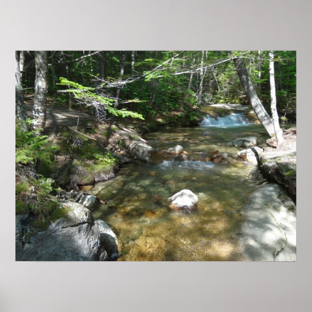 Wasserfall am Fluss Pemigewasset III Poster (Vorne)