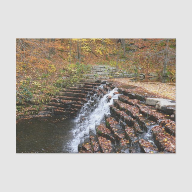 Wasserfall am Laurel Hill Staat Park II Seidenpapier (Vorderseite)