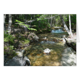 Wasserfall am Pemigewasset River III