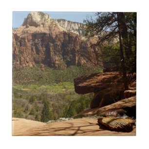 Wasserfall an den Smaragdseen im Zion-Nationalpark Fliese