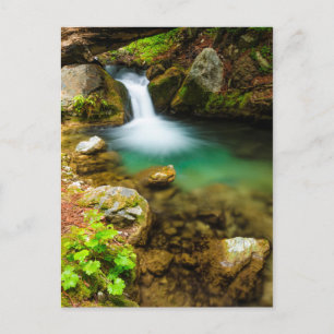 Wasserfall an Hare Creek, Kalifornien Postkarte