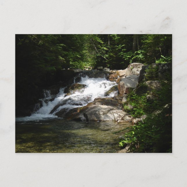 Wasserfall auf den Pemigewasset Postkarte (Vorderseite)