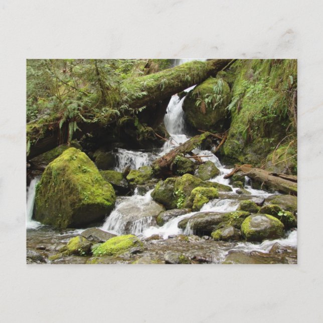 Wasserfall auf der South Shore Road am Lake Quinau Postkarte (Vorderseite)