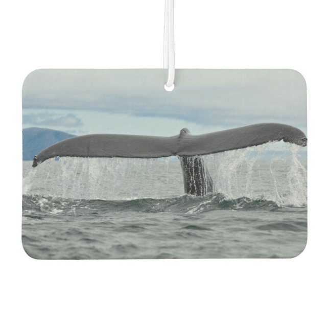 Wasserfall Autolufterfrischer (Vorderseite)