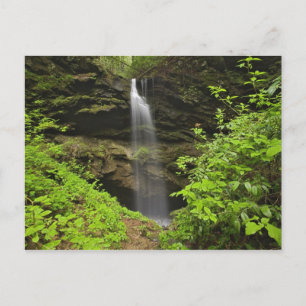 Wasserfall, der in eine Senke fällt, Whiteoak Sink Postkarte