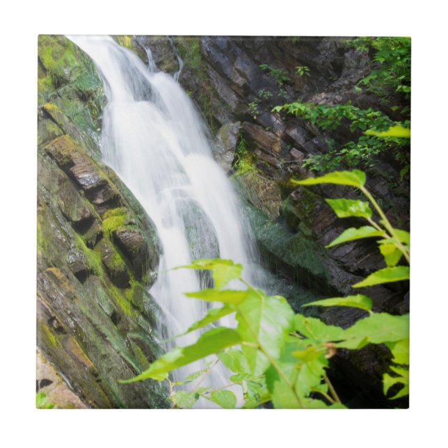 Wasserfall des Hell's Gate Canyon Fliese (Vorderseite)